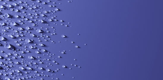 纯蒸汽